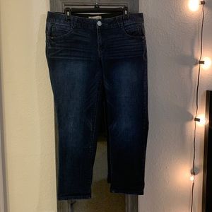 Democracy | size 16W | cropped jean